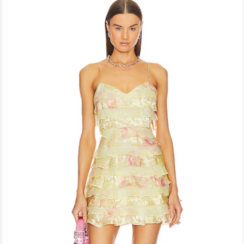 ISO Love Shack Fancy Agrace Dress